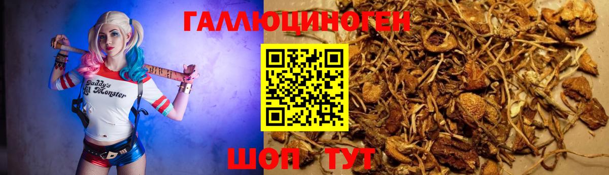 Галлюциногенные грибы ЛСД  Вход с VPN  Гудермес 