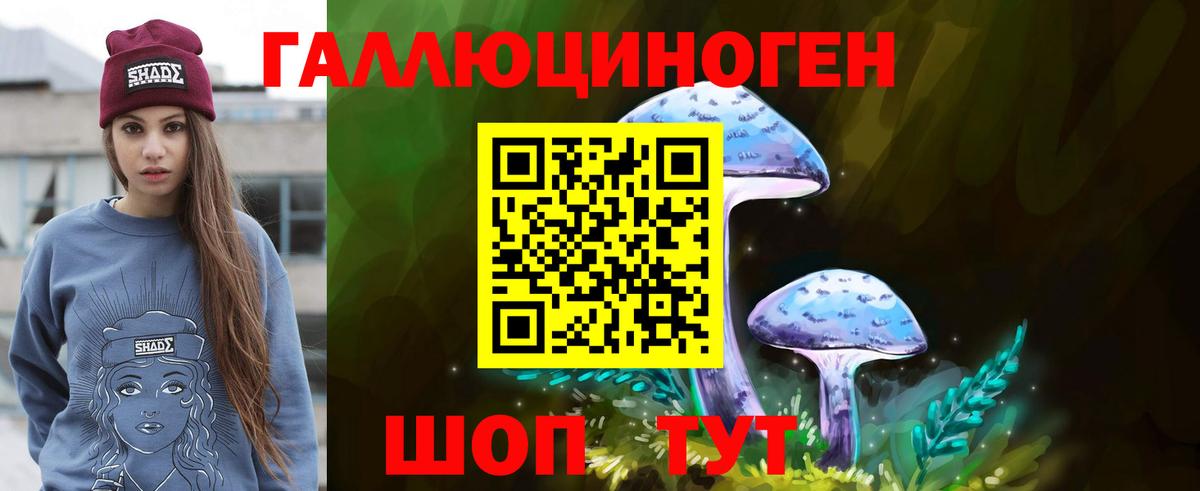 Псилоцибиновые грибы MAGIC MUSHROOMS Гудермес